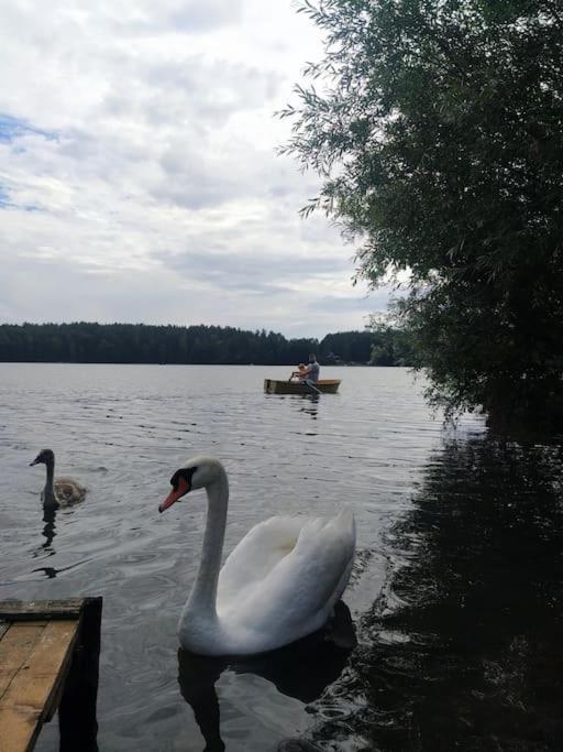 Wrzosowe Wzgorze - Domek Wiejski Klaczno ภายนอก รูปภาพ